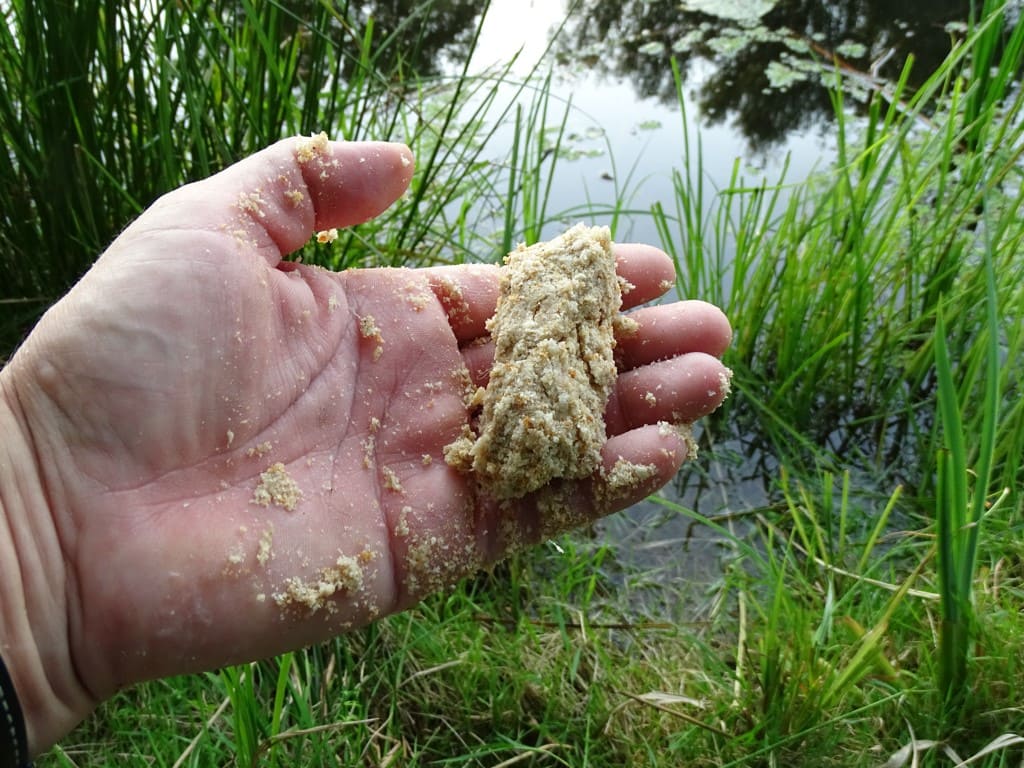 mehr Futter für Weißfische mit Brotflocke